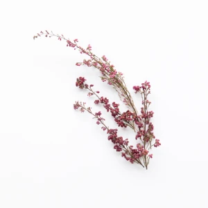 blomster